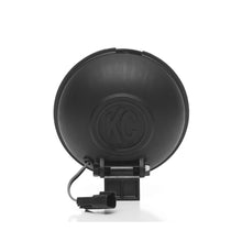 Load image into Gallery viewer, 6 in Apollo Pro Halogen 2 Light System 100W Spread Beam