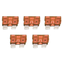 Load image into Gallery viewer, 40-Amp Fuse (5 pc. Pack)
